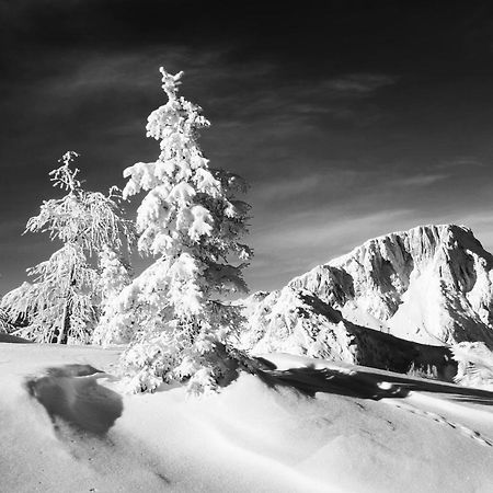 Almhaus Nassfeld Apartment Sonnenalpe Nassfeld Luaran gambar