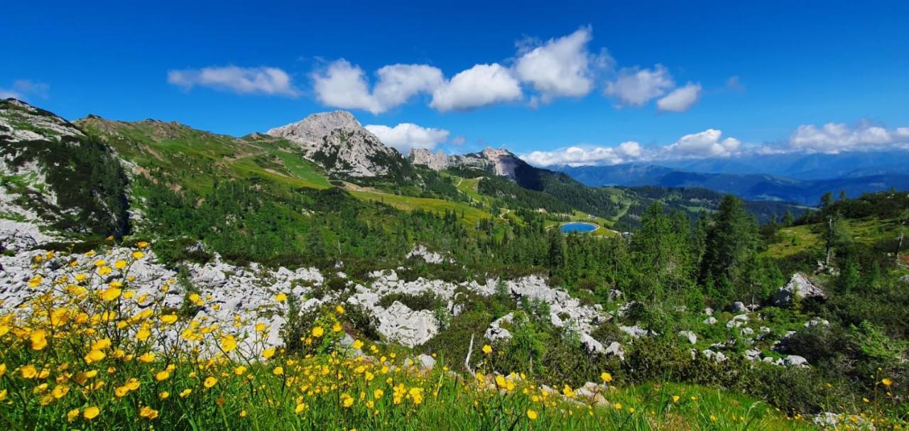 Almhaus Nassfeld Apartment Sonnenalpe Nassfeld Luaran gambar